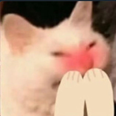 46000C6D-F0DB-4291-8124-F62607AE0E1F.jpeg
