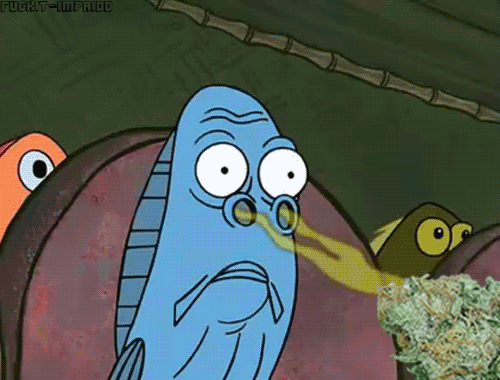 46AF9826-C1F5-48C5-9107-663E336BA51A.gif