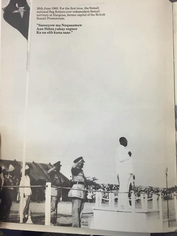 47507074-F49D-49EA-8DCA-FEFECECD4335.jpeg