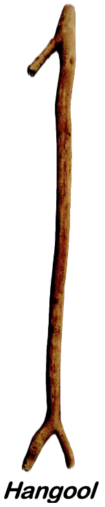 47995.png