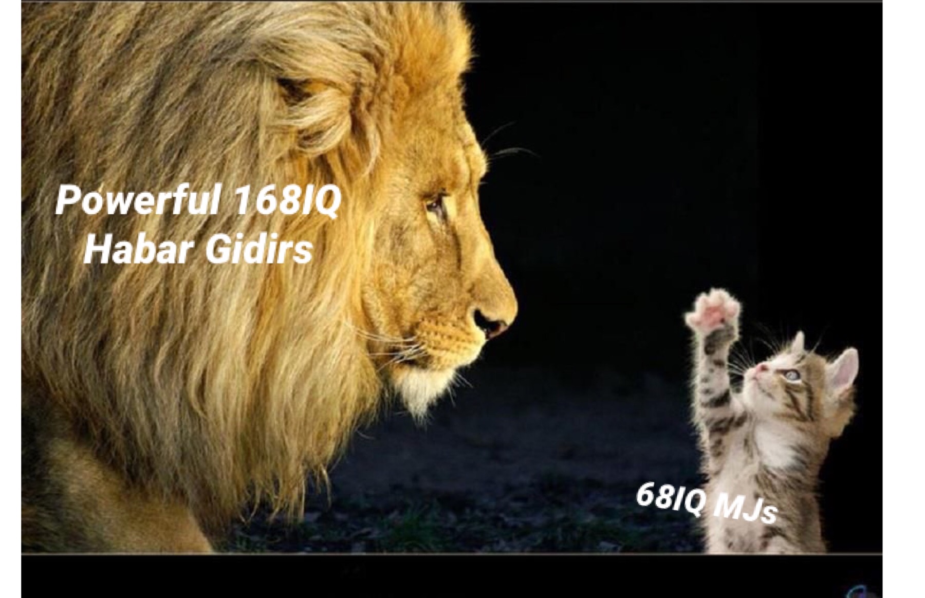4E8137A9-0ACF-47D4-9FC6-F675C2FB4613.jpeg