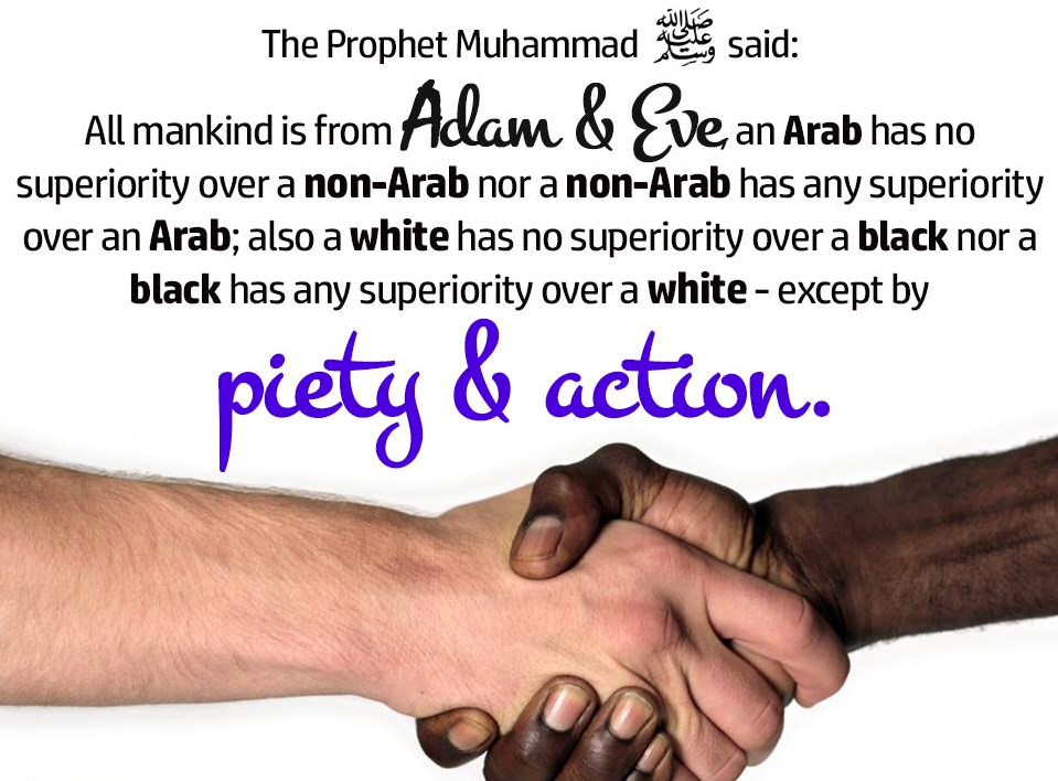 5025DB12-A43C-4588-9527-246752D237F3.png
