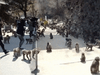 53FB100E-A61F-41F8-815A-576879B28E38.gif