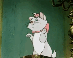 5560.gif