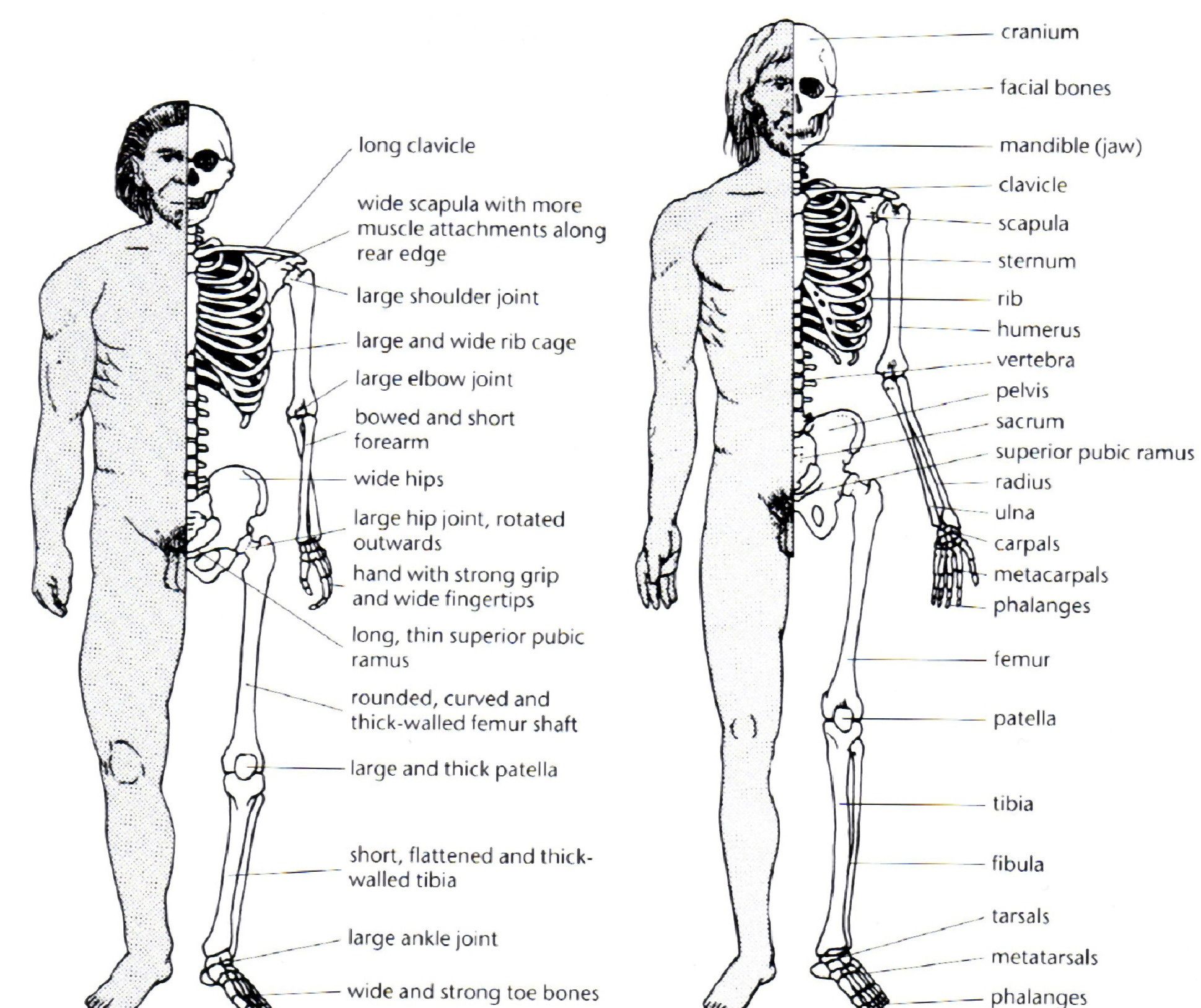 55ECE7FF-4064-43F1-8F89-6E9CCB678A7B.jpeg