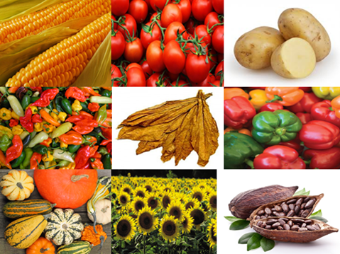 56E796EB-A575-4F57-86E3-004AF6A0FB9A.png