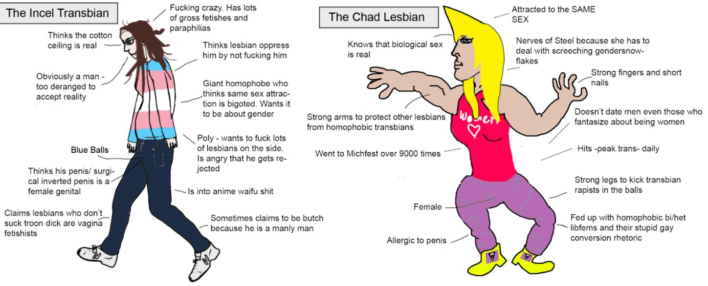 595.jpg