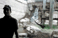 5a4070d1fc8b67d1958b3bcf7004973b_w200.gif