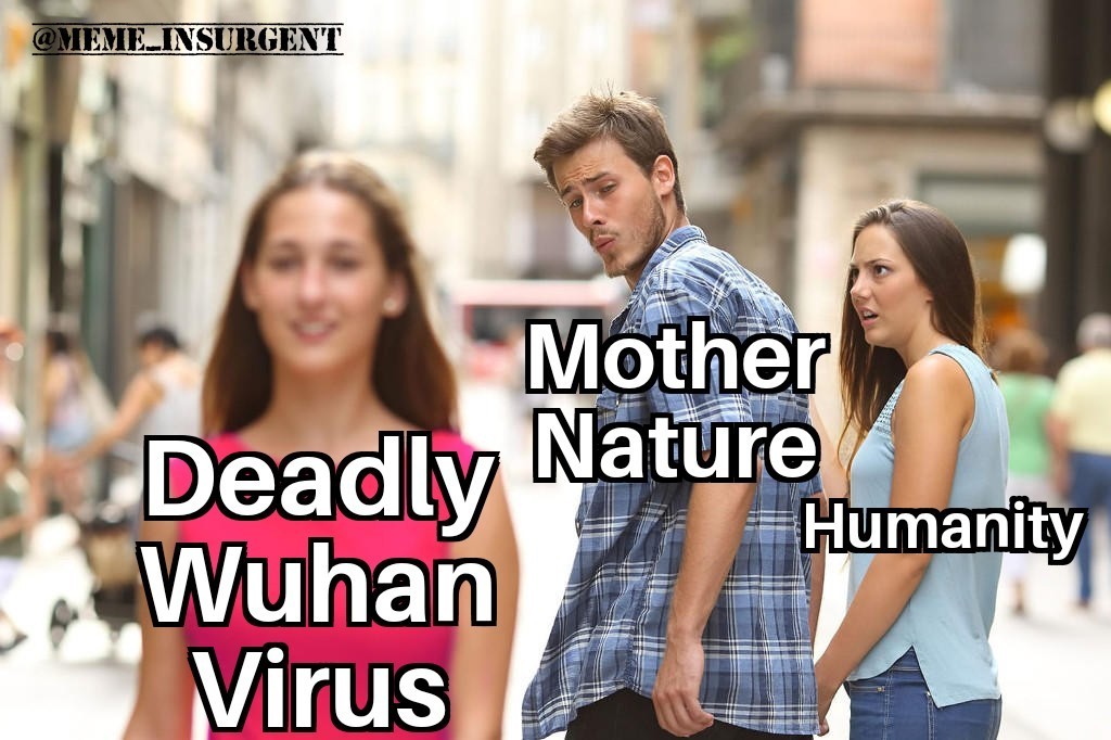 5e27fb242aa55.jpeg