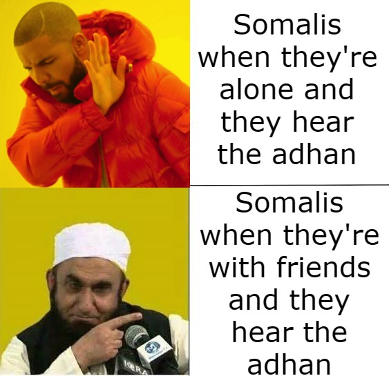 5zvmxb.jpg