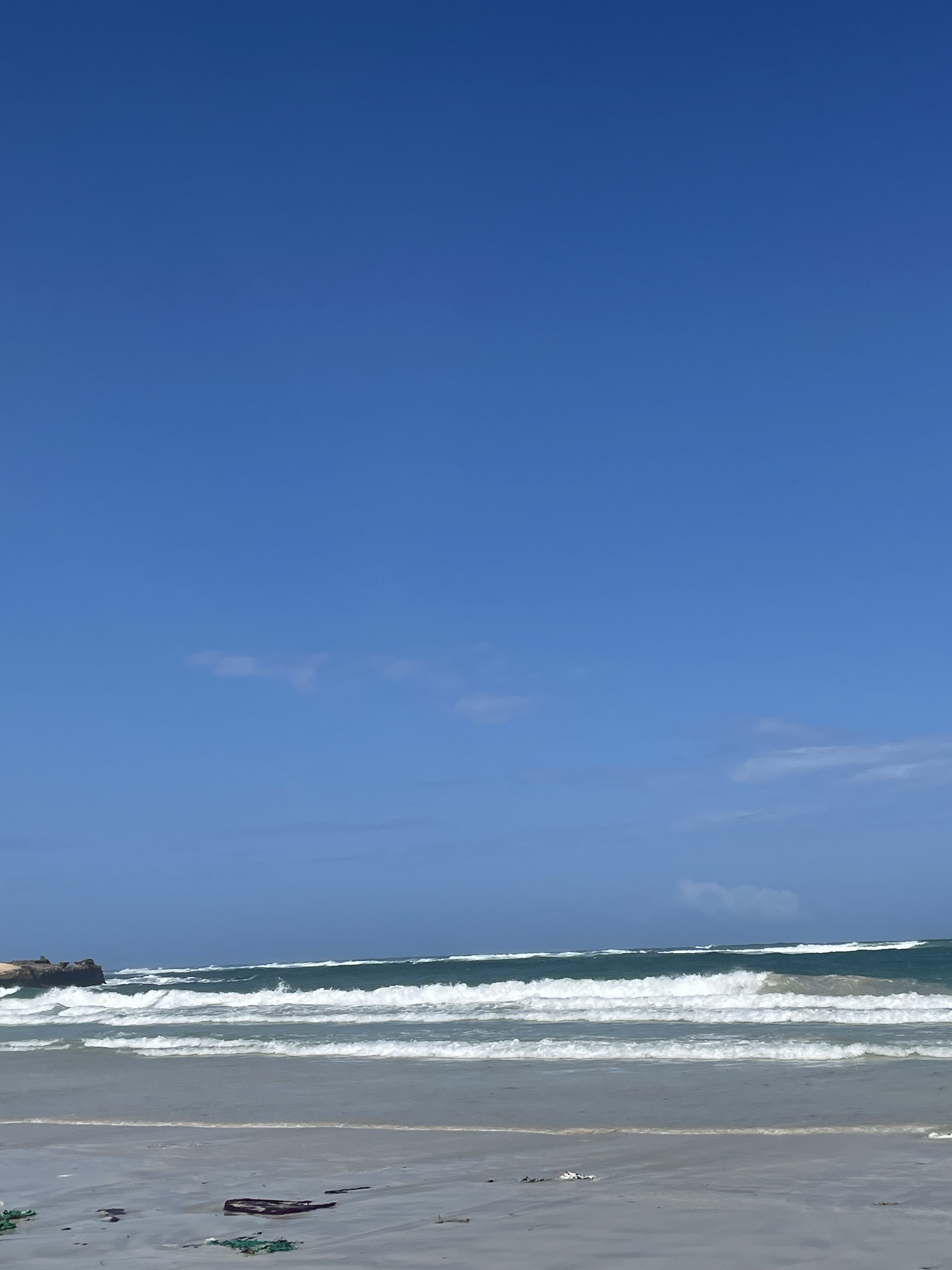 664353A0-CA95-4298-8D37-181FDBF32739.jpeg
