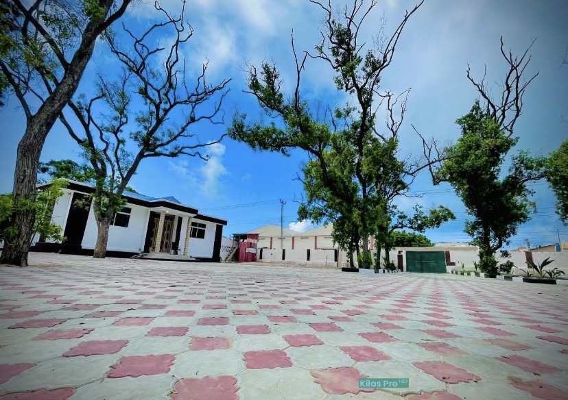 66EDF84B-196B-422E-B63C-9834B8D62643.jpeg