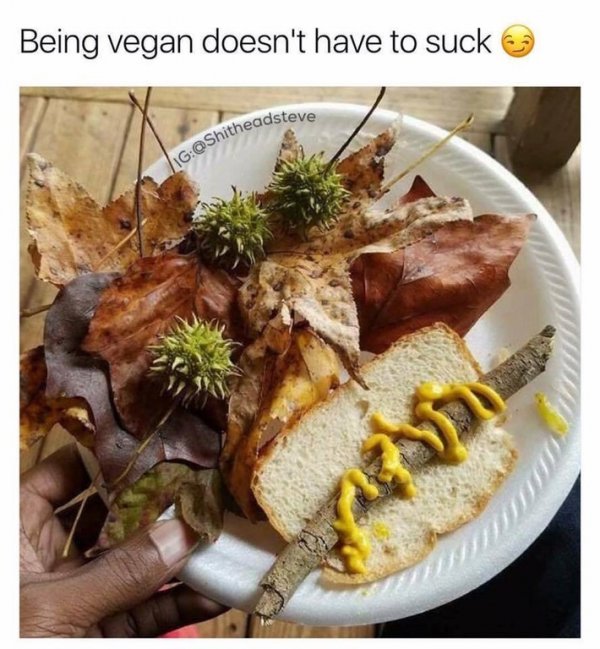6aa7ea77b8493f4eef828f4d23d9b62f.jpg