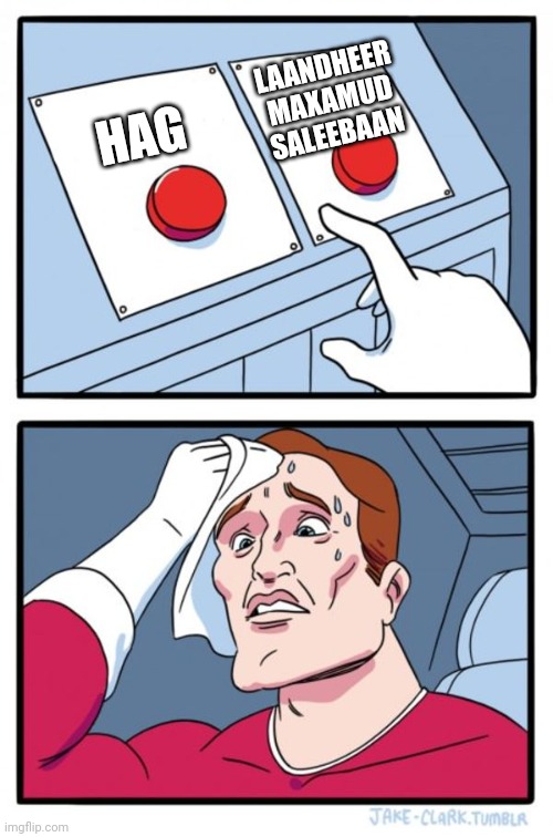 6mpi82.jpg