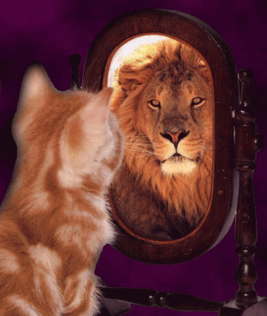 742806A8-353E-4F60-A263-22DC8D857AC4.gif