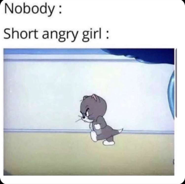 747E81A9-4823-4390-8C3E-D0378E4F50FD.jpeg