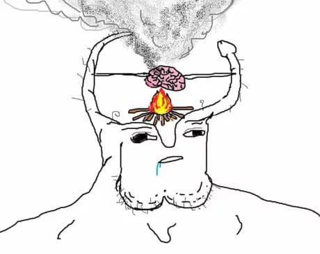 7778 - balls brain campfire fire fried retard smoke textless wojak.jpg