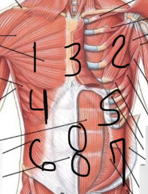 78C1F431-28C2-48A4-BC47-6BD67CBF3BFF.jpeg