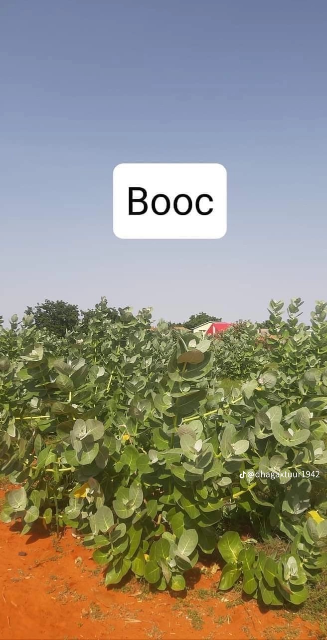 79570D67-E95D-49F5-A123-68509C081B0D.jpeg