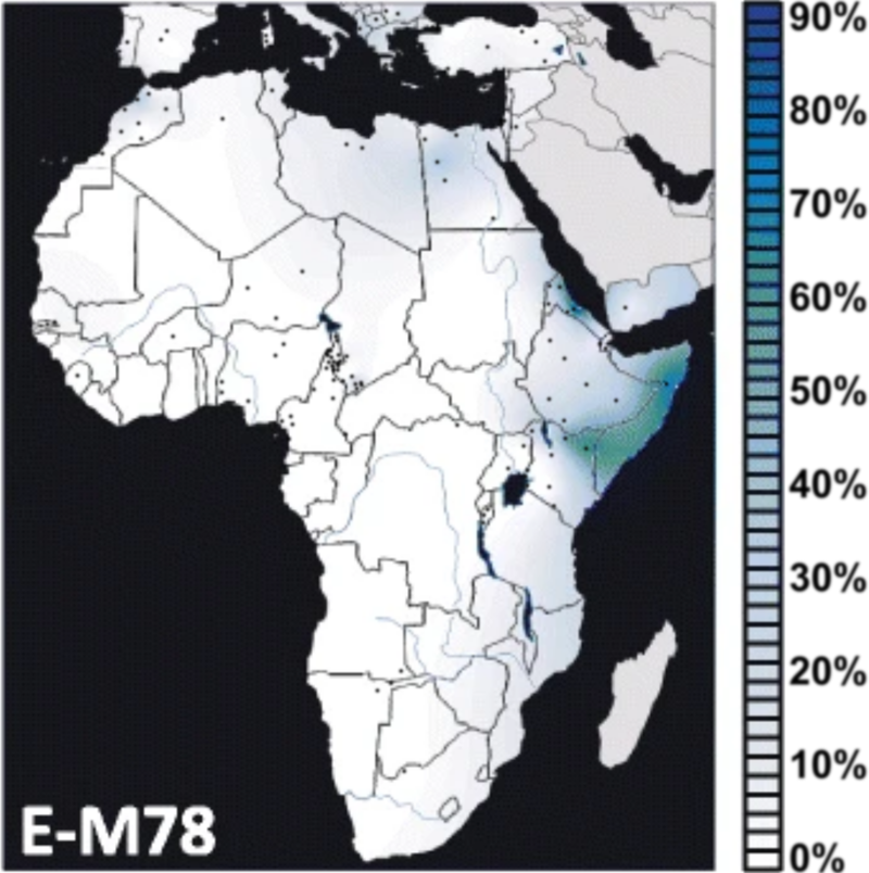 800px-Geographical_frequency_distribution_of_Haplogroup_E-M78_(Y-DNA).png