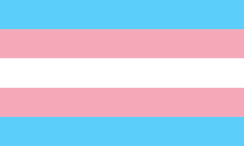 800px-Transgender_Pride_flag.svg.png