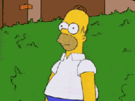 83184629-7618-4C31-A351-DA316B8253C7-1623-00000199B54C7D90.gif