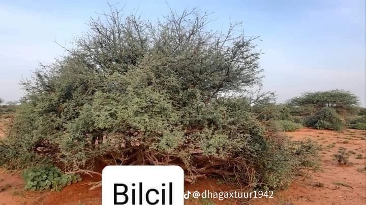 89BCA568-D909-48C6-8C34-B9D8ECEE38B9.jpeg