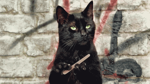 89C8EE2A-26F0-41BD-AE2D-B2E19C119A61.gif