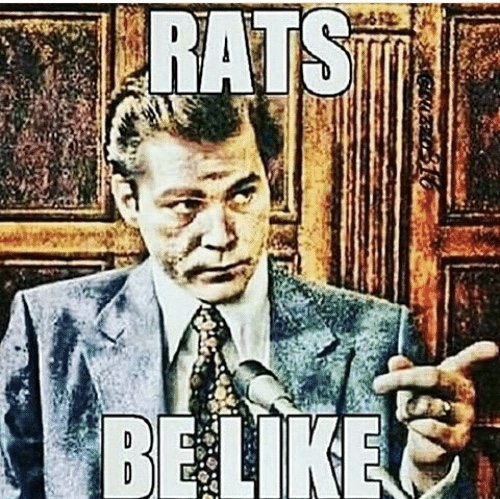 8D4D8502-BF9F-47E8-94CC-65FADCF55EC6.jpeg