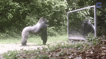 8DEE8E4D-2BCF-4A7A-9FF4-D4D33B676AC7.gif