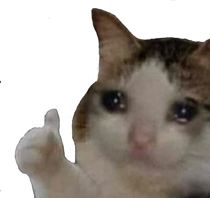 9109_Sad_Cat_Thumbs_Up.png
