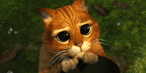 9628A052-2A10-45F3-9D77-4326E2CC3716.gif