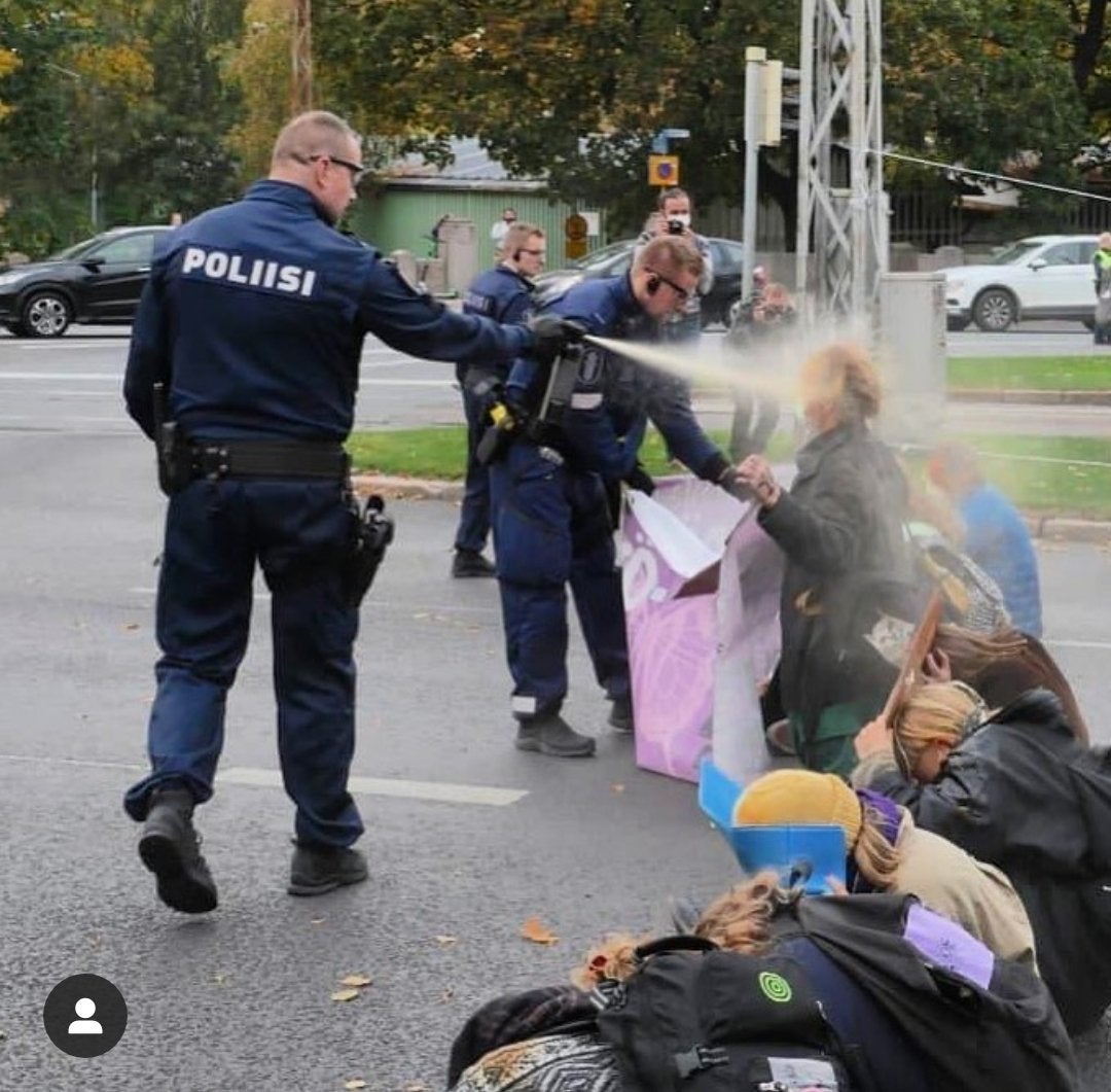 96ee241.jpg
