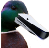 9C054BA4-6DC4-4ADE-887D-9F358EDB5F42.png