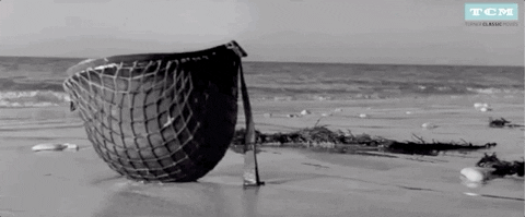 9C817D02-8A91-46FA-A828-44B5FBDA4B06.gif