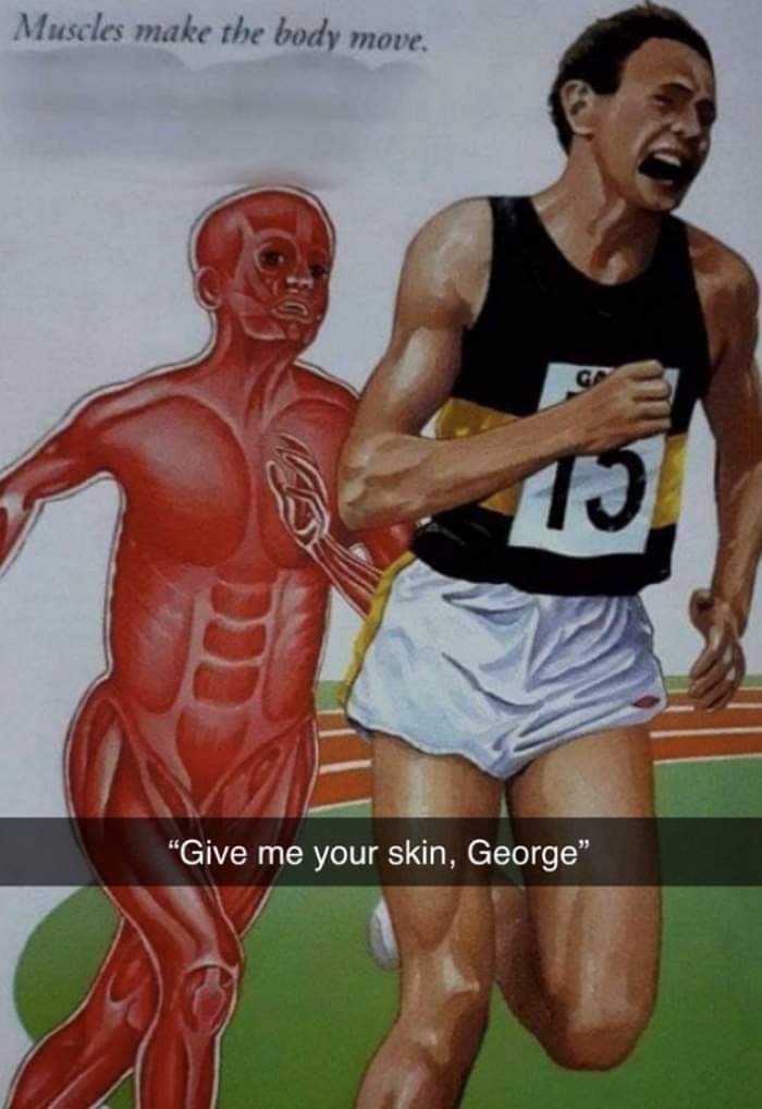 9cr9cigmmpw41.jpg