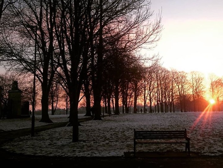 _20190311_151206.JPG