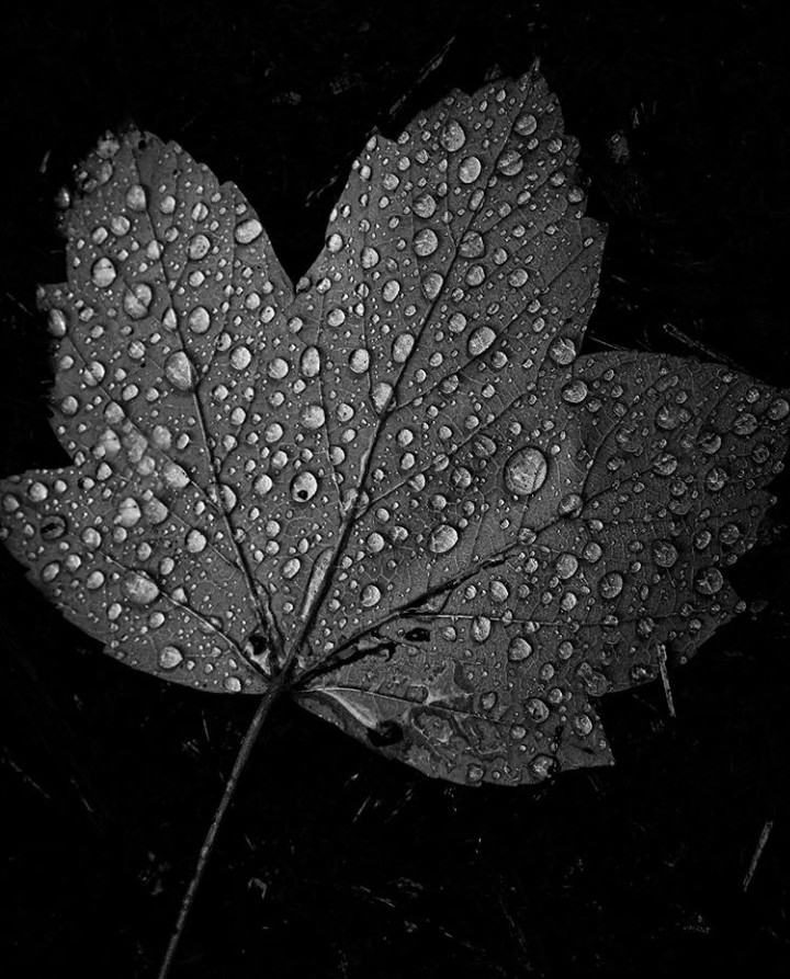 _20200502_225050.JPG