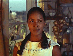 a017b85d9aadf9ae338869f7bfa18111.gif