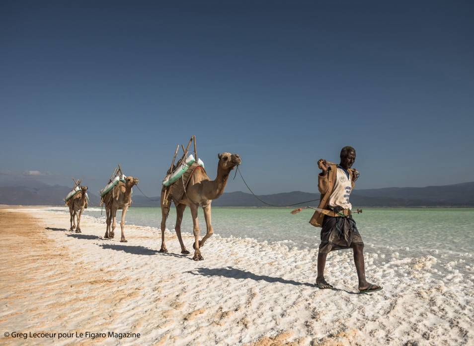 a240-voyage-djibouti-lac-assal-caravane-pc.jpg
