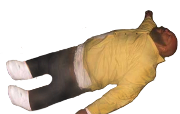 A8F8BCC5-4CB0-421C-8F18-401CBAE731FB.png