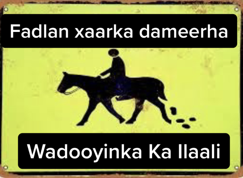 A98A6434-A9B0-4CA4-8977-75D77E963332.jpeg