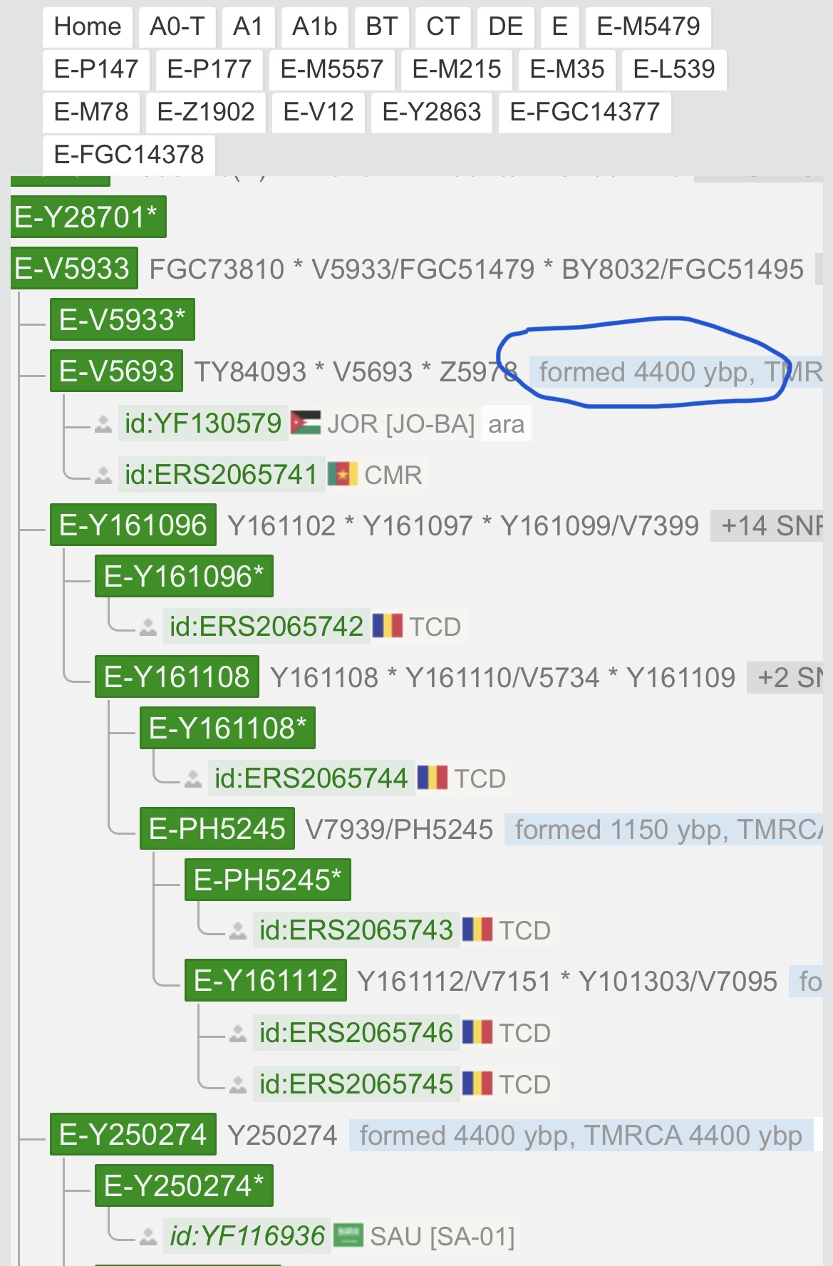 ACEED8FF-1FBF-446F-A0AA-A034DF6E1D5F.jpeg