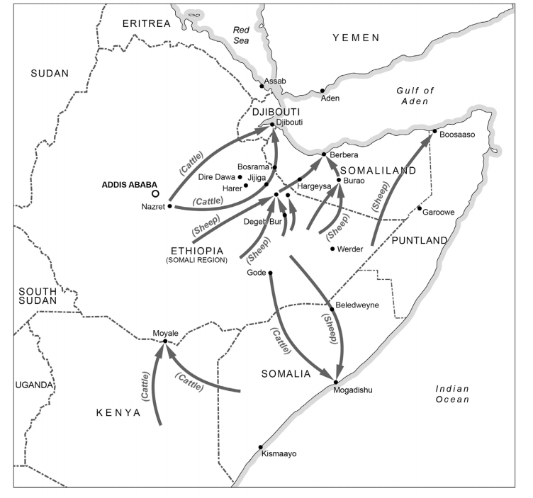 ACF255E1-25A1-4CB0-ADBF-69C72997D472.png