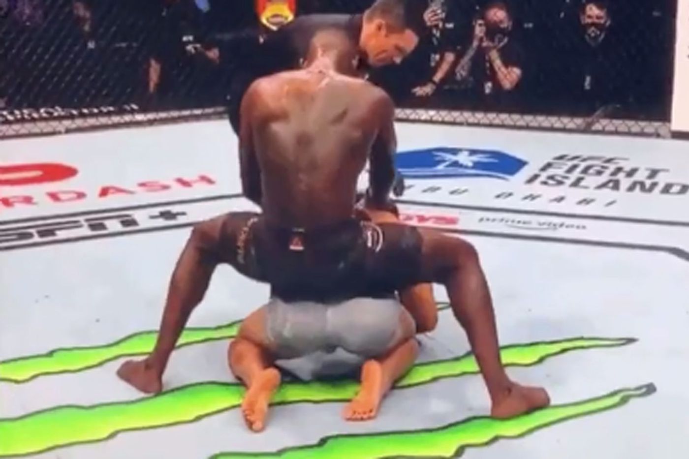 adesanya_humps_costa_like_dog.0.0.jpg