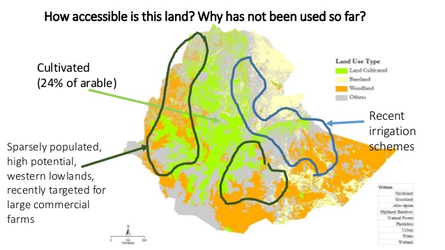 agriculture-ethiopia.jpg