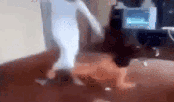 anigif_enhanced-buzz-5624-1382980540-7.gif