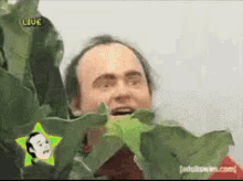 animated1.gif