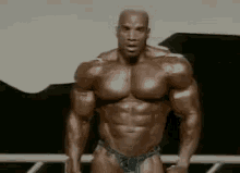 animated27.gif