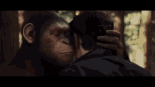 ape.gif